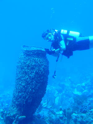 une-belle-eponge-barrique